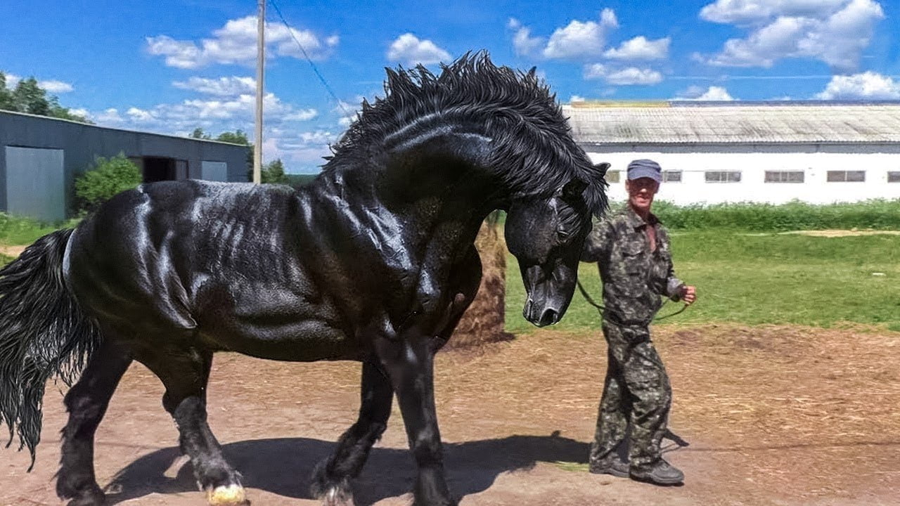 most powerful horses in the world